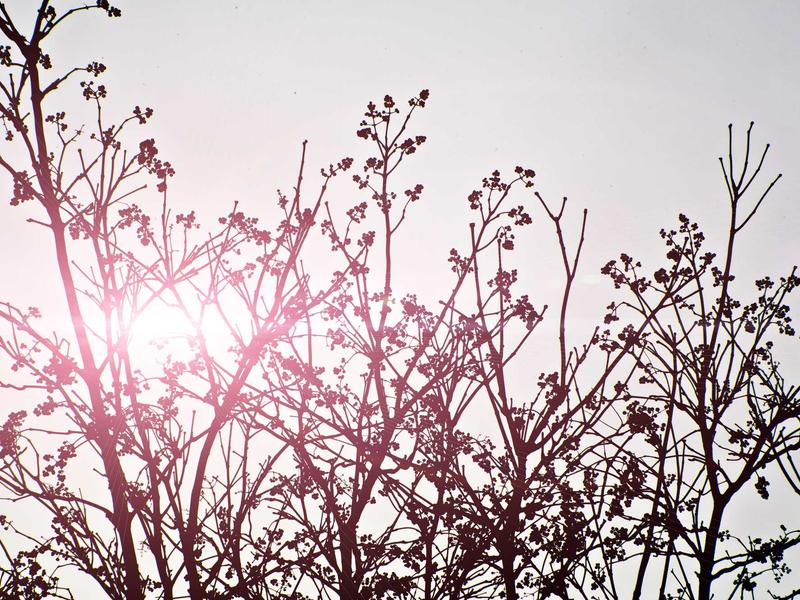 sudoku pattern learning screenshot 3