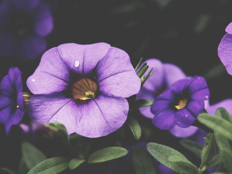 sudoku android app screenshot 4