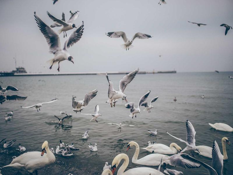 privacy screenshot 5